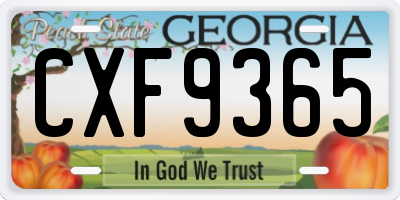 GA license plate CXF9365