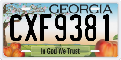 GA license plate CXF9381