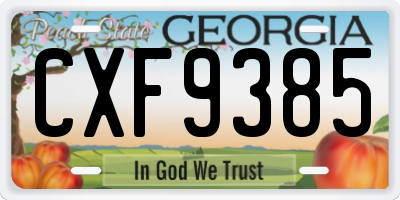 GA license plate CXF9385