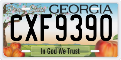 GA license plate CXF9390