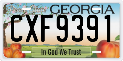 GA license plate CXF9391