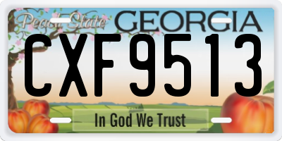 GA license plate CXF9513