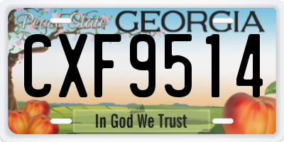 GA license plate CXF9514
