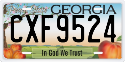 GA license plate CXF9524