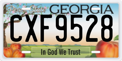 GA license plate CXF9528