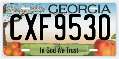 GA license plate CXF9530