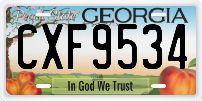 GA license plate CXF9534
