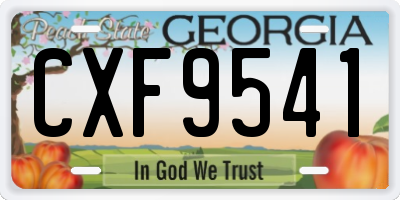 GA license plate CXF9541