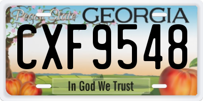GA license plate CXF9548