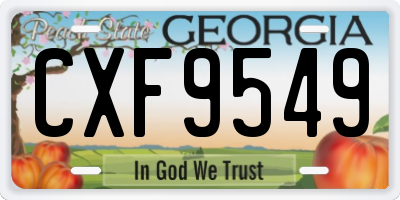 GA license plate CXF9549