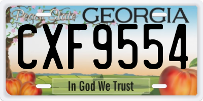 GA license plate CXF9554