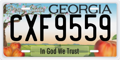 GA license plate CXF9559