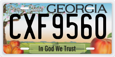 GA license plate CXF9560