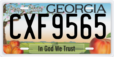 GA license plate CXF9565
