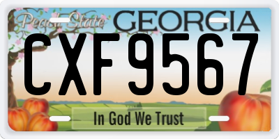 GA license plate CXF9567