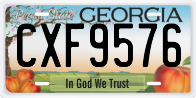 GA license plate CXF9576