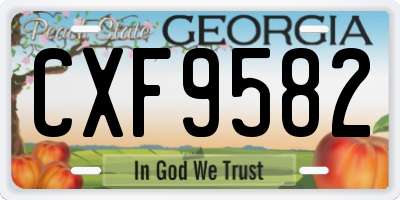 GA license plate CXF9582