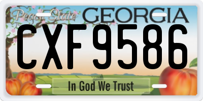 GA license plate CXF9586