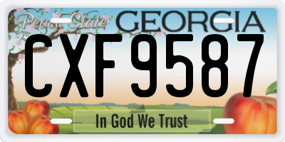 GA license plate CXF9587