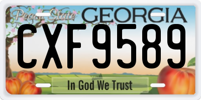 GA license plate CXF9589