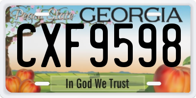 GA license plate CXF9598