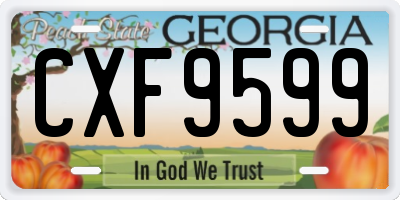 GA license plate CXF9599
