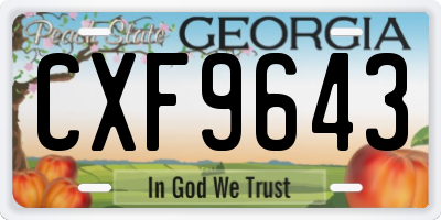 GA license plate CXF9643