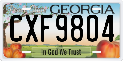 GA license plate CXF9804