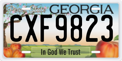 GA license plate CXF9823