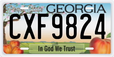 GA license plate CXF9824