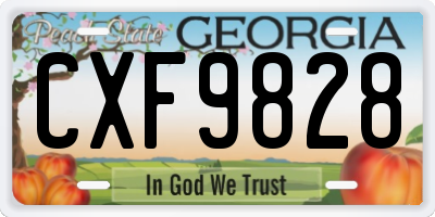 GA license plate CXF9828