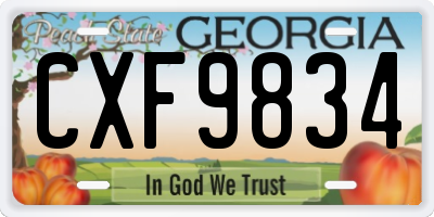 GA license plate CXF9834