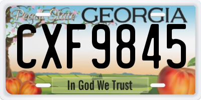 GA license plate CXF9845