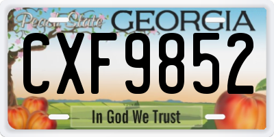 GA license plate CXF9852