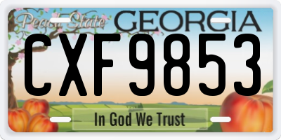 GA license plate CXF9853