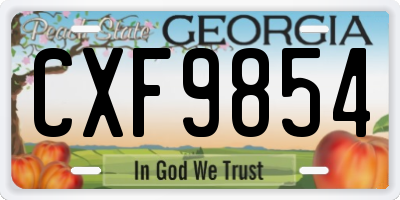 GA license plate CXF9854