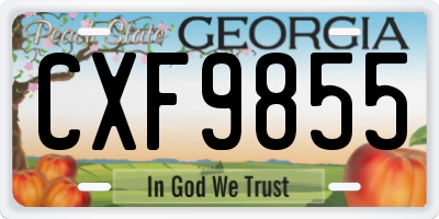 GA license plate CXF9855