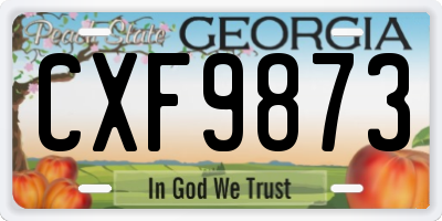 GA license plate CXF9873