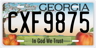 GA license plate CXF9875