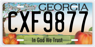 GA license plate CXF9877
