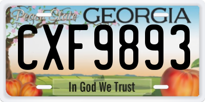 GA license plate CXF9893