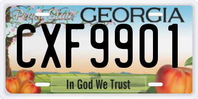 GA license plate CXF9901
