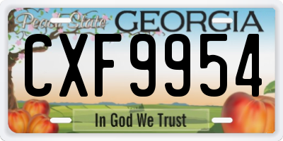 GA license plate CXF9954