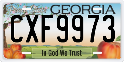 GA license plate CXF9973