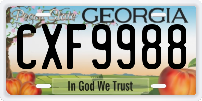 GA license plate CXF9988