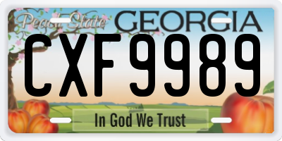 GA license plate CXF9989