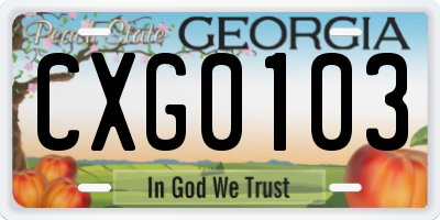 GA license plate CXG0103