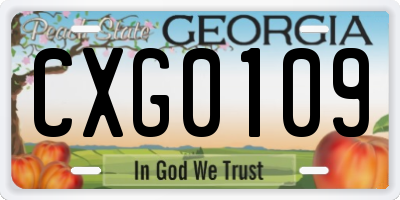 GA license plate CXG0109
