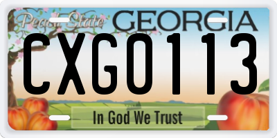 GA license plate CXG0113