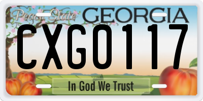 GA license plate CXG0117
